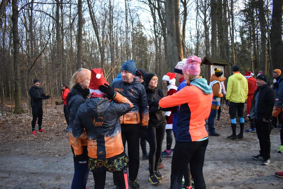 Parkrun w Lesie Łagiewnickim