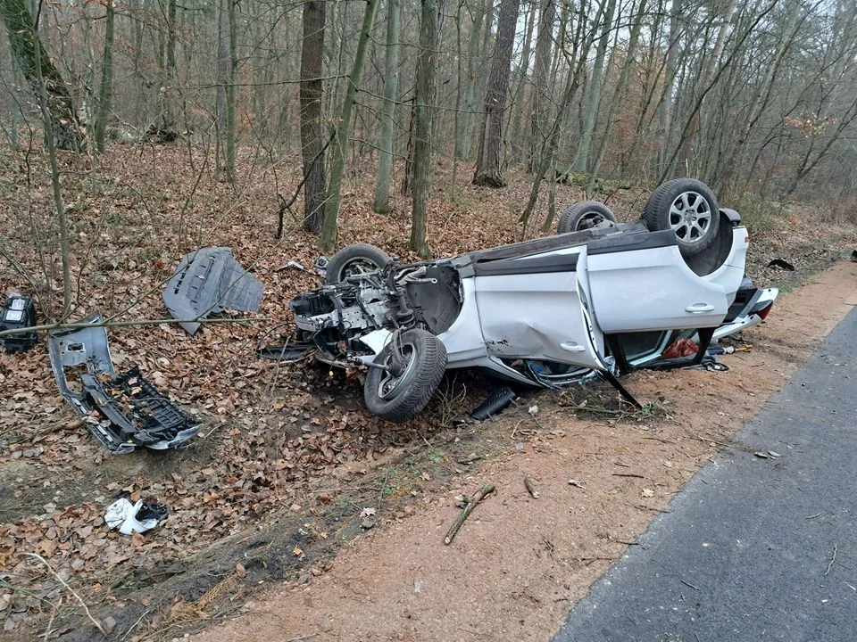 Sarna wyskoczyła na drogę: auto dachowało, kierowca w szpitalu [ZDJĘCIA] - Zdjęcie główne