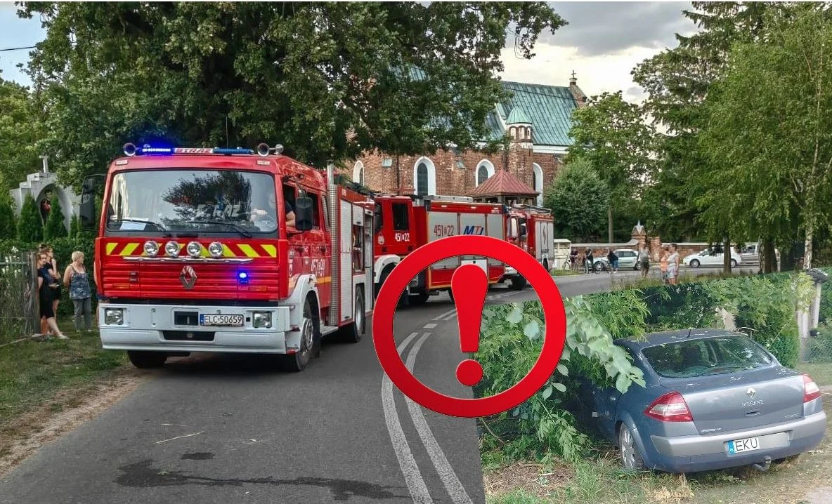 Kompletnie pijany wjechał w krzaki. Wynik na alkomacie wprawia w osłupienie [ZDJĘCIA] - Zdjęcie główne