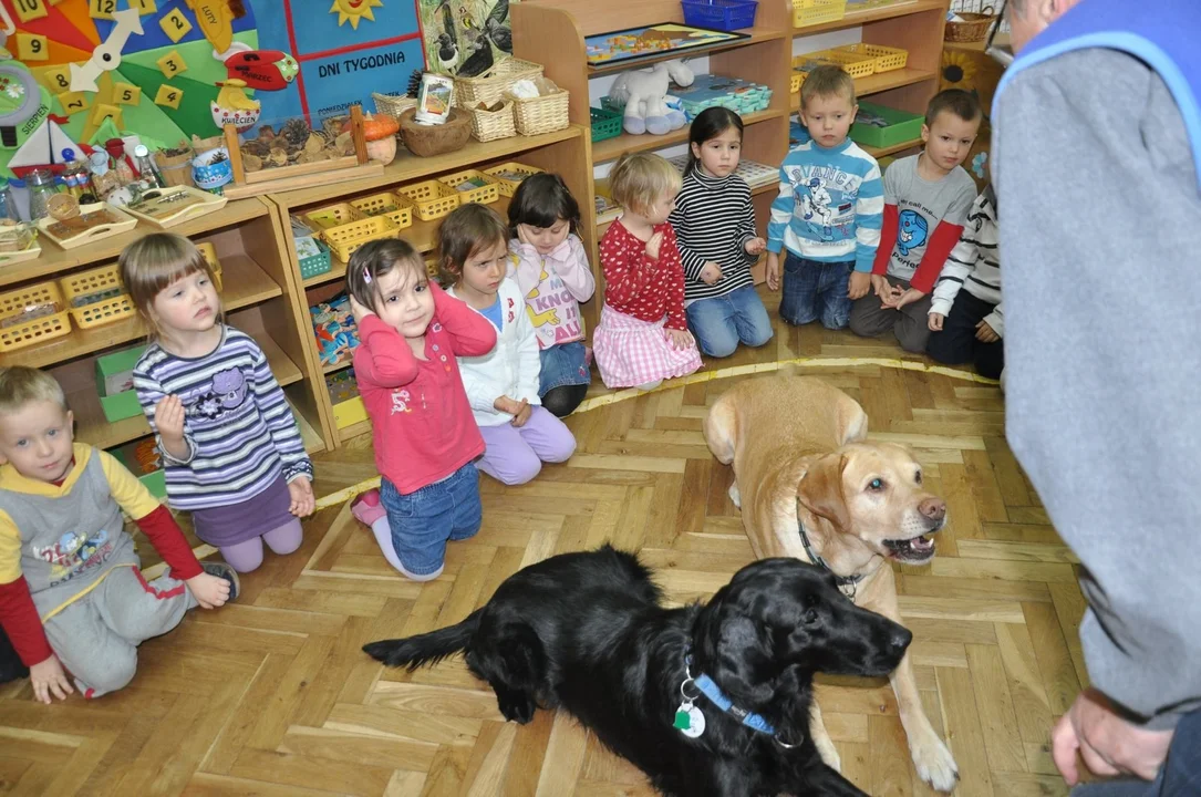 Fundacja Ana Canem Dogoterapia