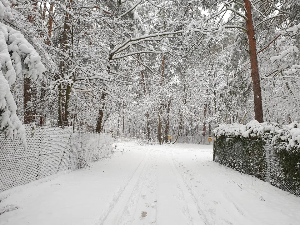 Śnieżna galeria ze Zgierza i Sokolnik-Lasu