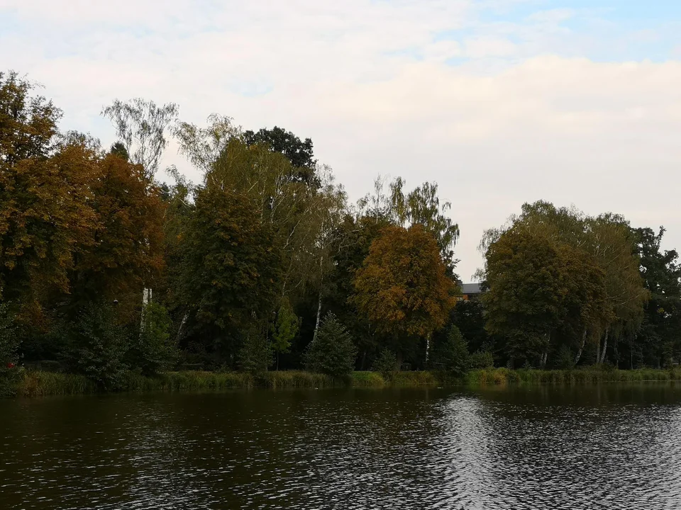 Pierwsze oznaki jesieni w zgierskim parku - zobacz zdjęcia!