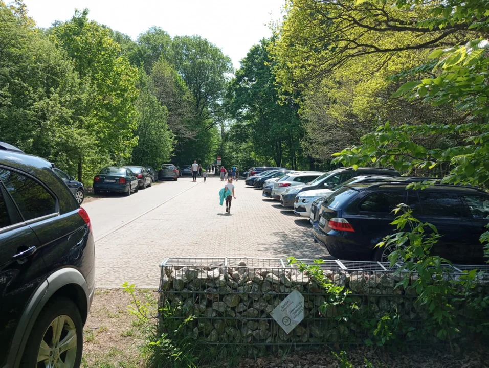 Majówka w parku na Młynku
