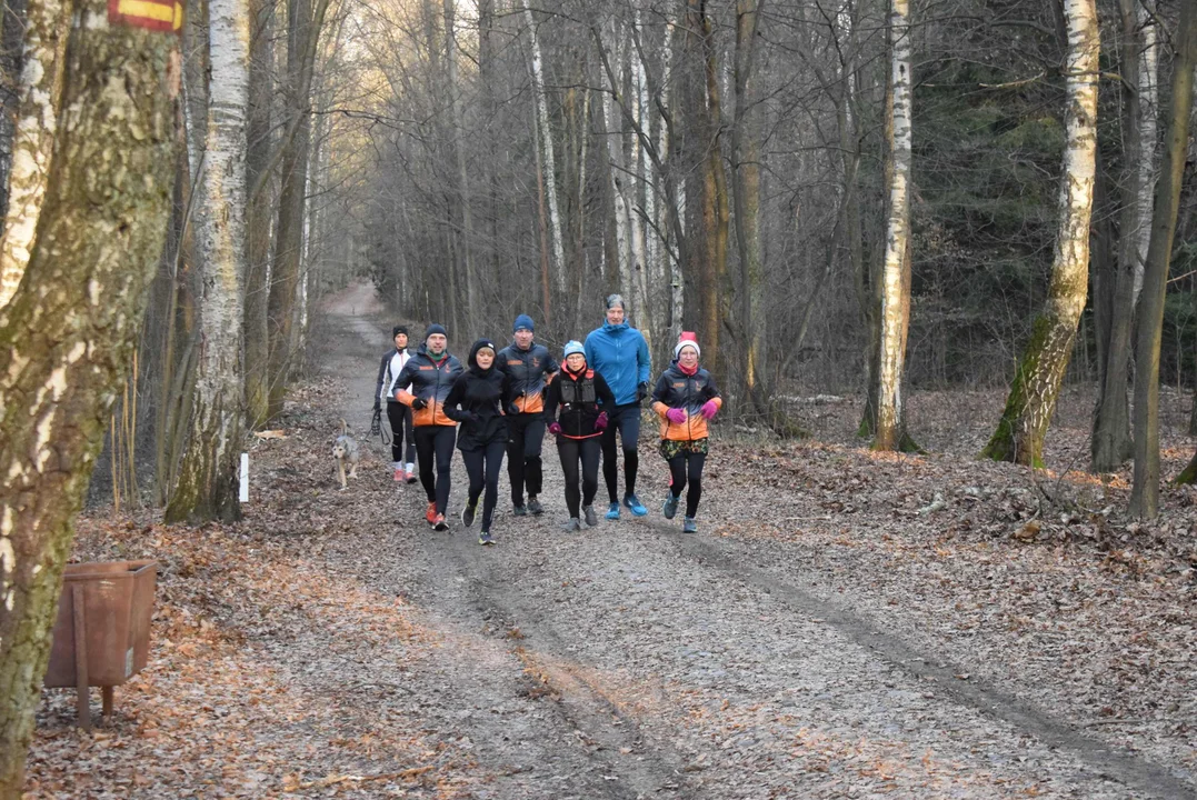 Parkrun w Lesie Łagiewnickim