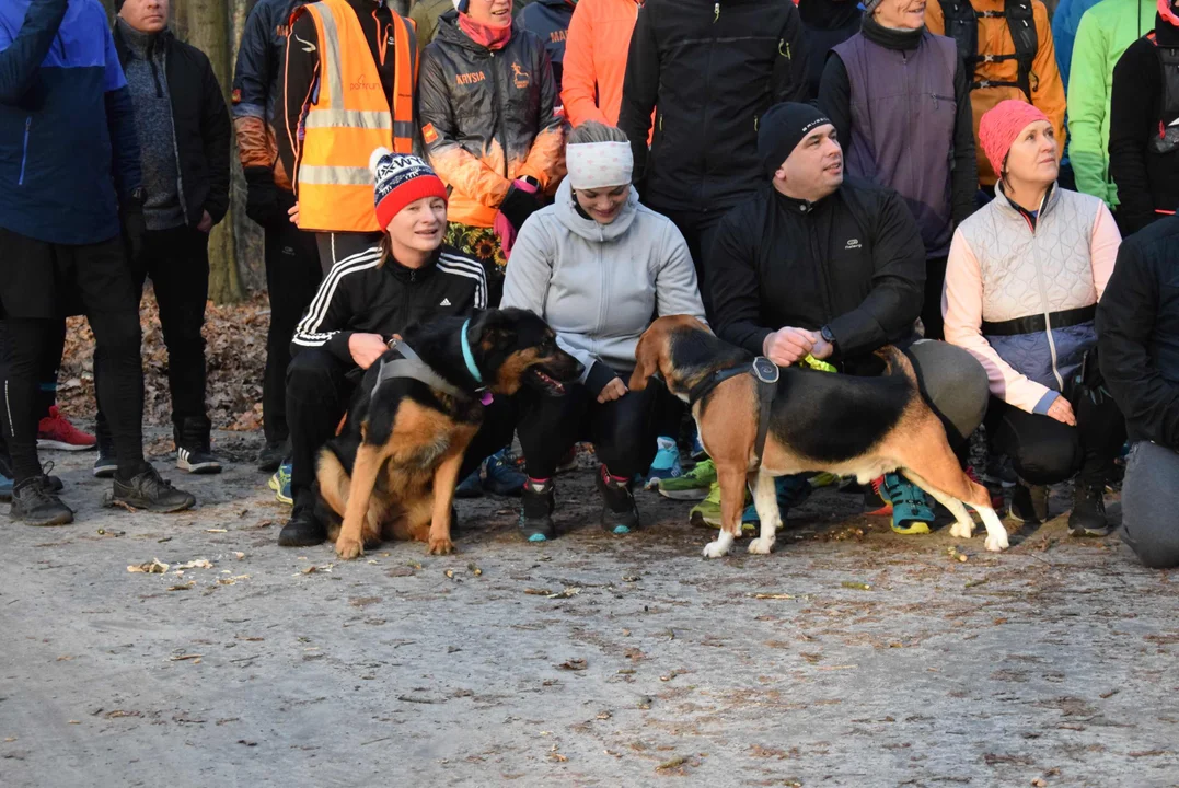 Parkrun w Lesie Łagiewnickim