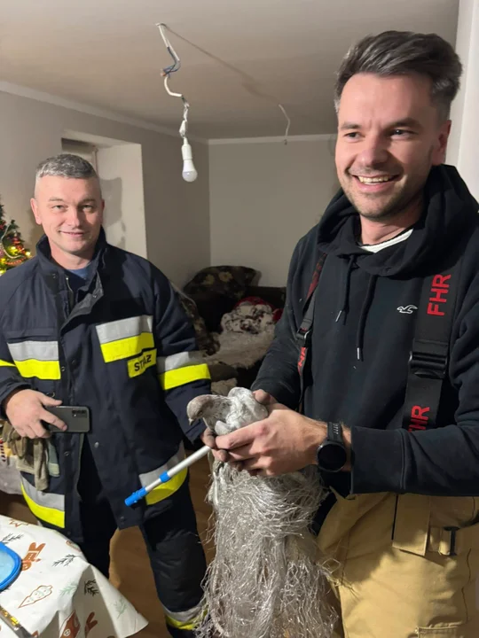 Strażacy ratowali zwierzęta