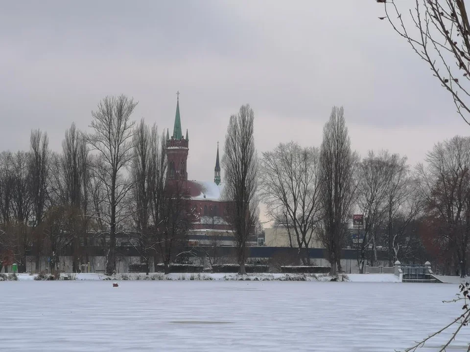 Zima zagościła w Parku Miejskim