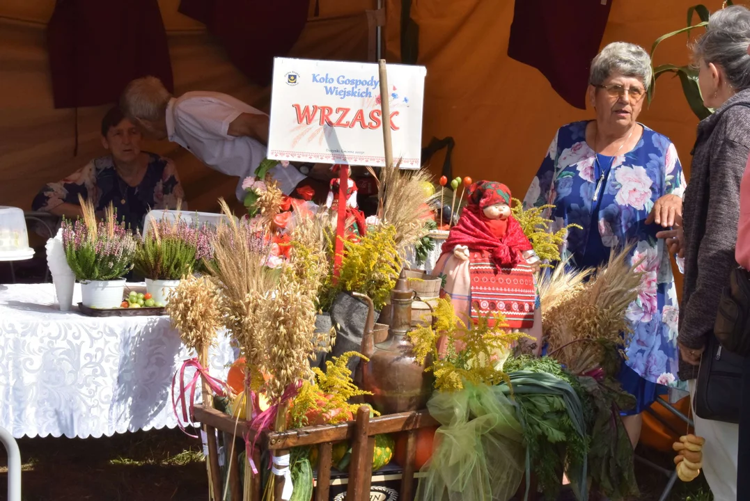 Dożynki gminy Stryków w Warszewicach