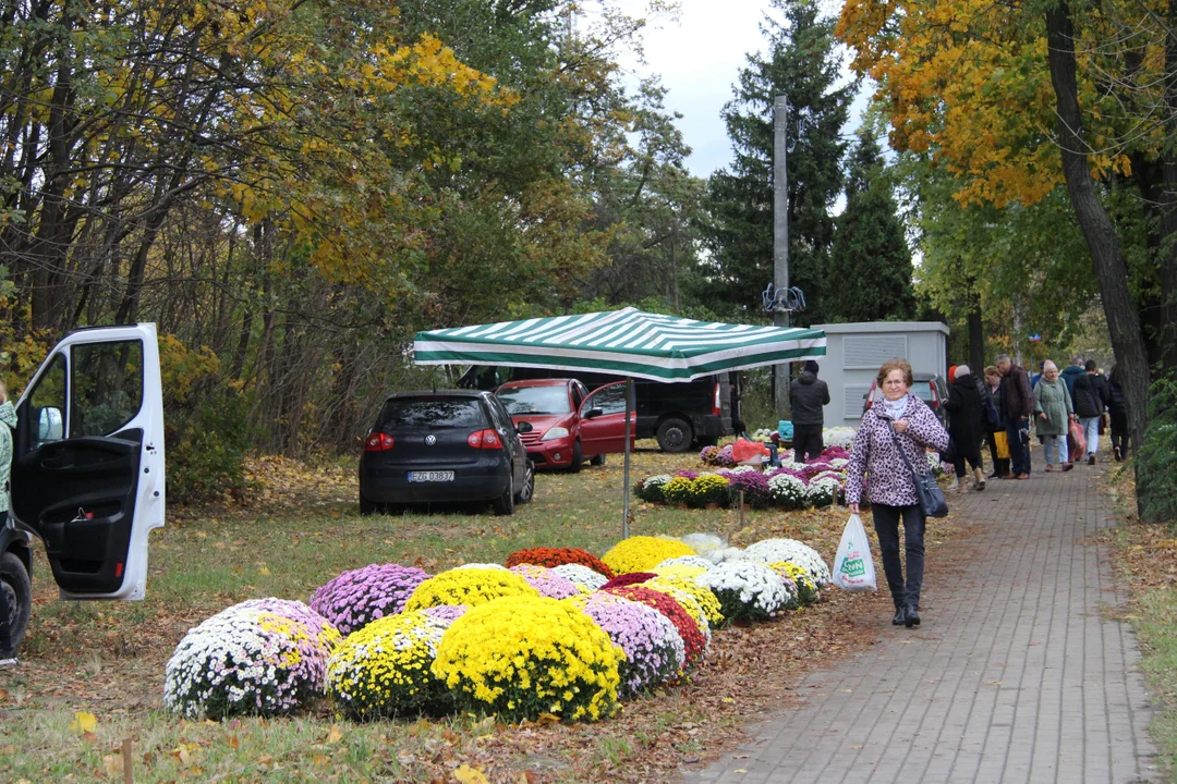 Wszystkich Świętych 2023 - cmentarz Szczecińska