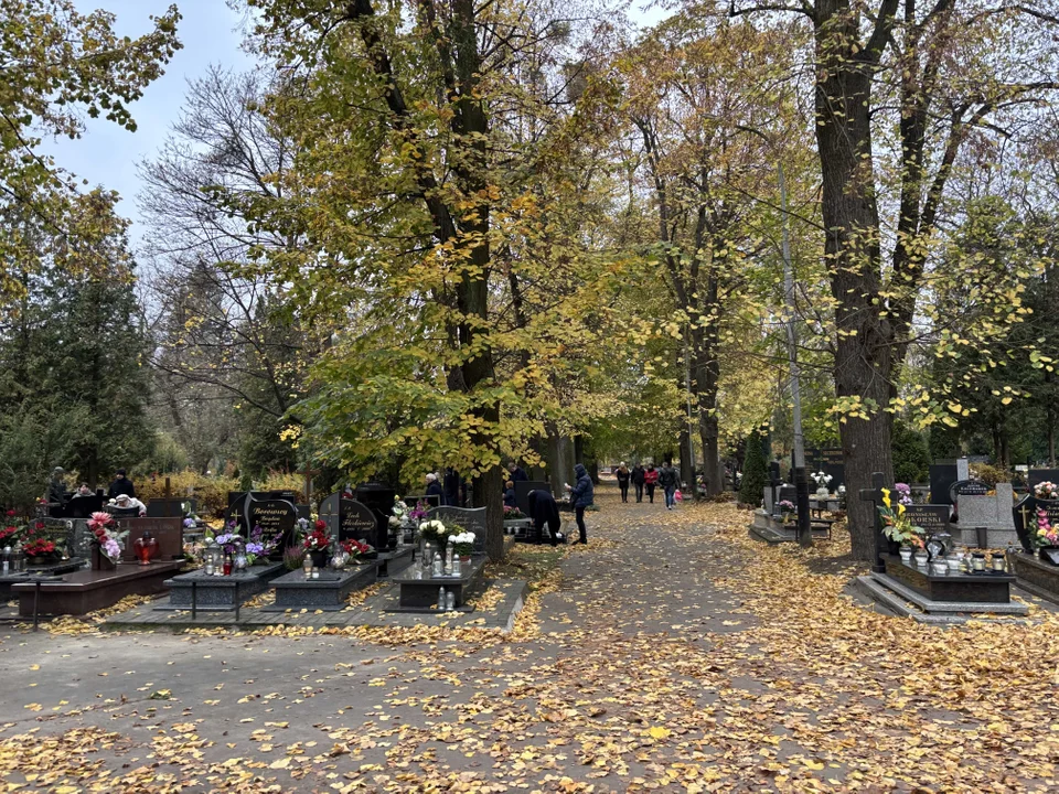 Korki w okolicach cmentarza na Dołach