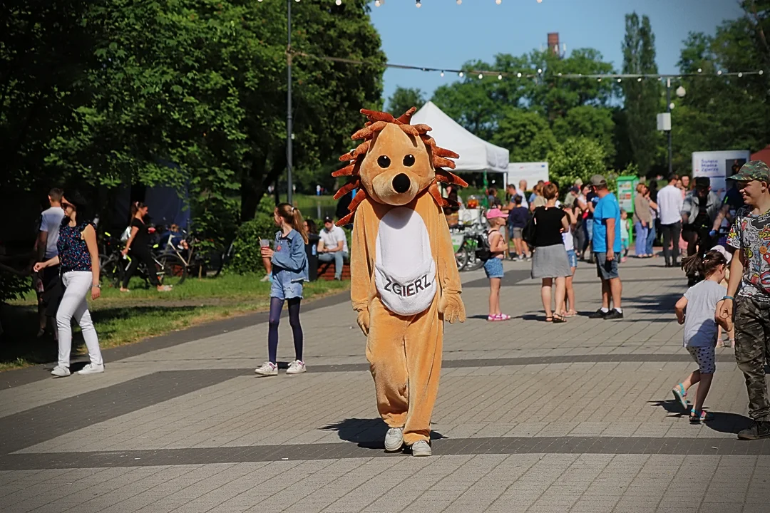 Święto Miasta Zgierza - koncertów dzień II