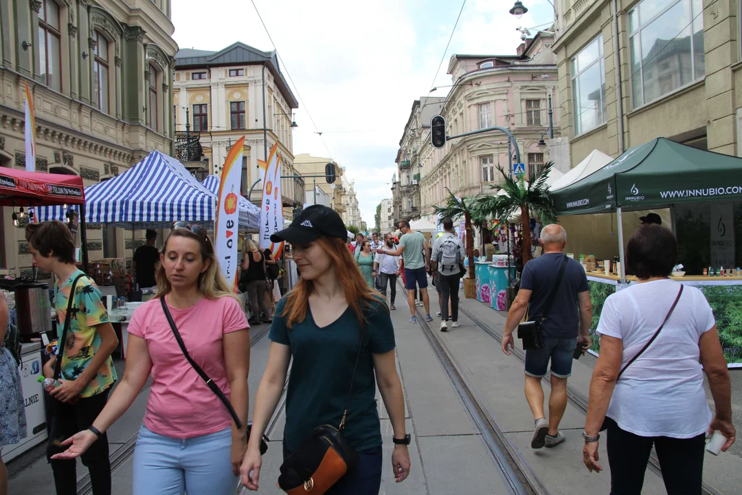 Strefa sportu i natury z okazji 600. urodzin Łodzi