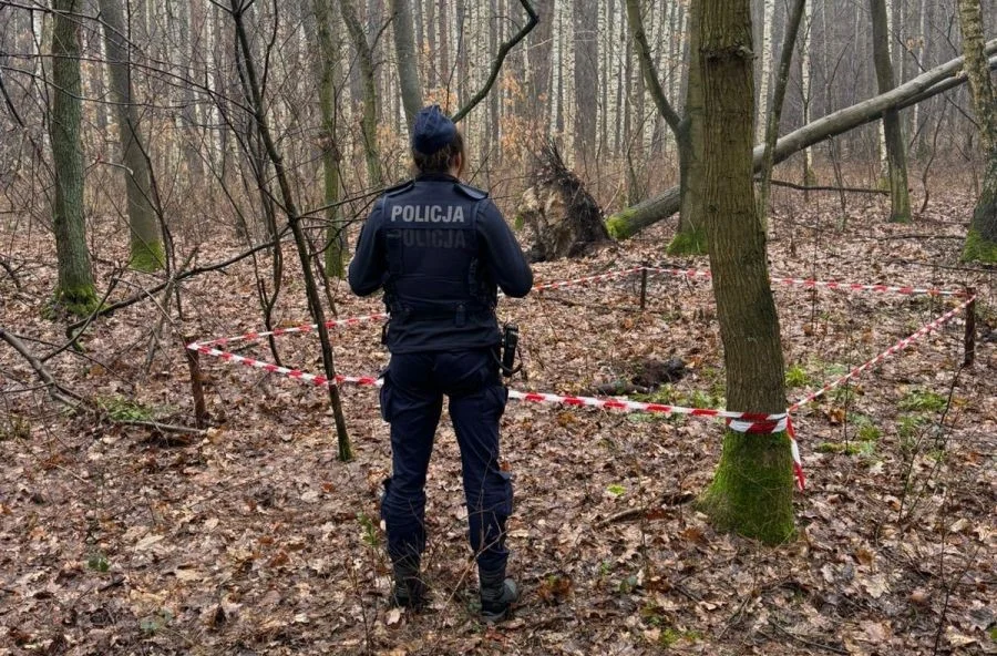 Niecodzienne znalezisko podczas prac leśnych. "To pocisk artyleryjski z czasów wojennych" [FOTO] - Zdjęcie główne