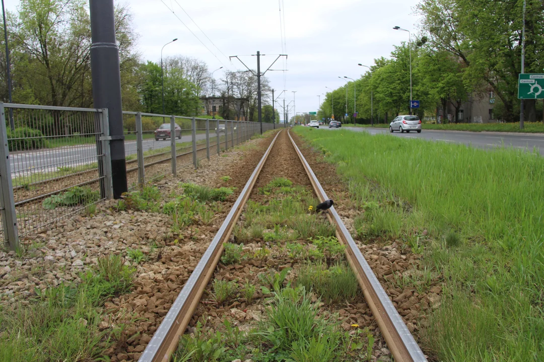 Tramwaje przy Pabianickiej w Łodzi