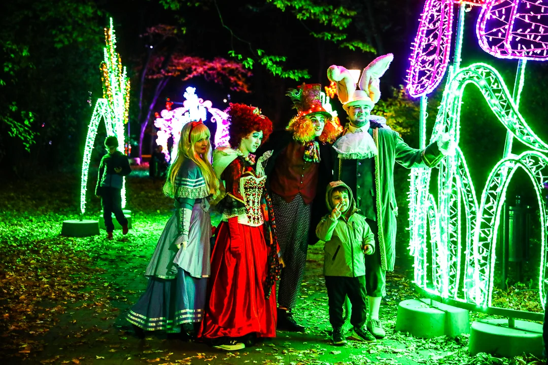 Park Miliona Świateł znów dostępny dla odwiedzających