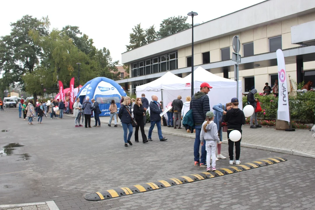 Trwa Święto Róży. Sporo osób odwiedza park Traugutta