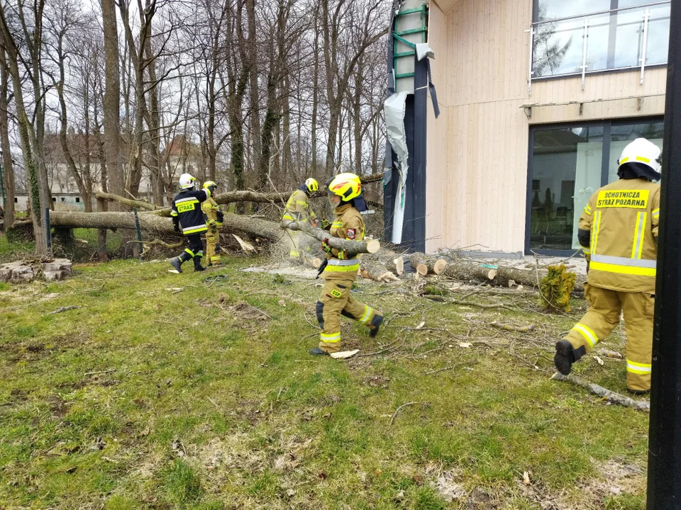 Jedno drzewo, ogromne straty. Wichura uderzyła w świetlicę w Charbrowie