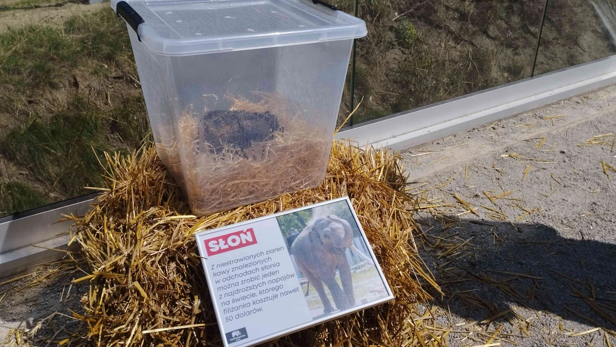 Łódzkie Orientarium zaprasza do oglądania... kup. "Przygotowaliśmy 18 stanowisk z kupami" [ZDJĘCIA] - Zdjęcie główne