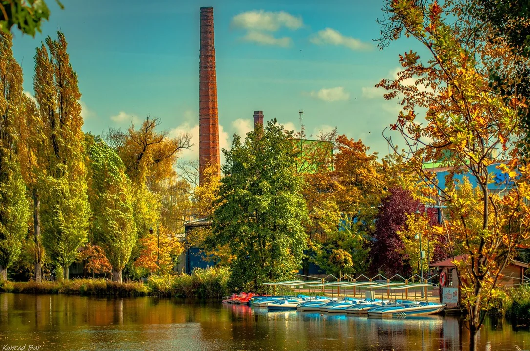 Fotogaleria mieszkańców Zgierza