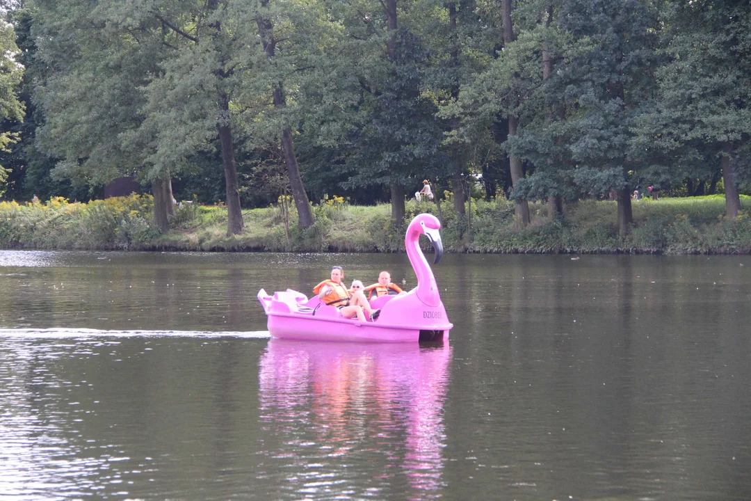 Piknik rodzinny w parku na Młynku w Łodzi