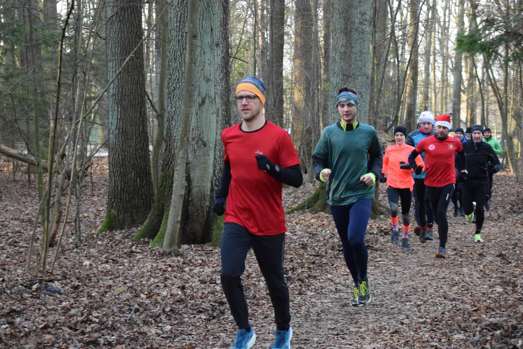 Parkrun w Lesie Łagiewnickim