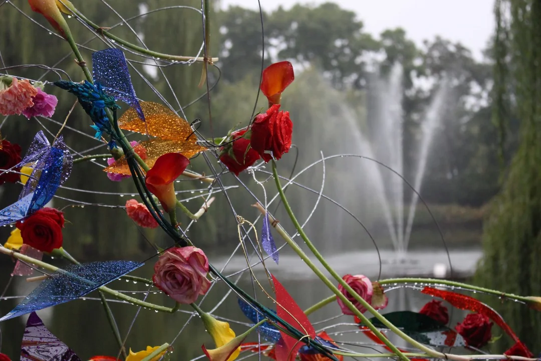 Trwa Święto Róży. Sporo osób odwiedza park Traugutta