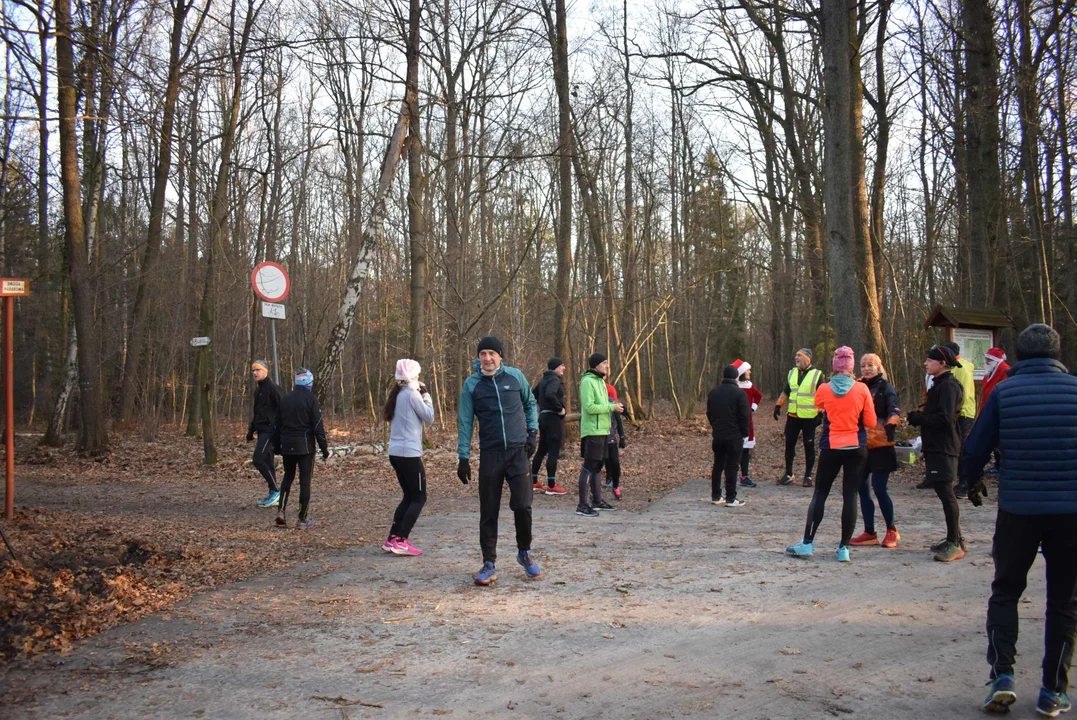 Parkrun w Lesie Łagiewnickim