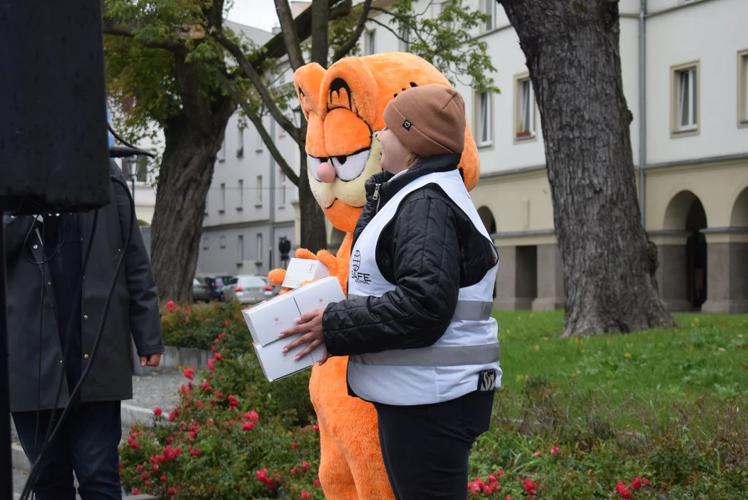 Światowy Dzień Zwierząt w Łodzi