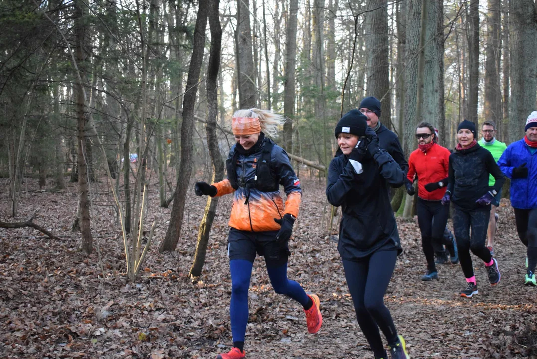 Parkrun w Lesie Łagiewnickim