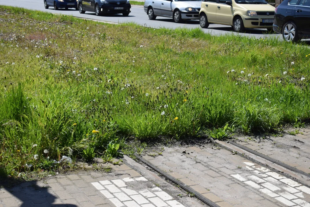 Już jutro powrót tramwajów na zamknięty odcinek Kilińskiego