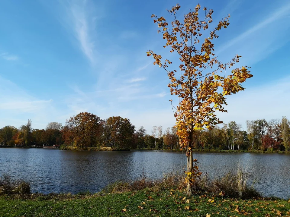 Zgierzanie korzystają z pięknej jesiennej pogody