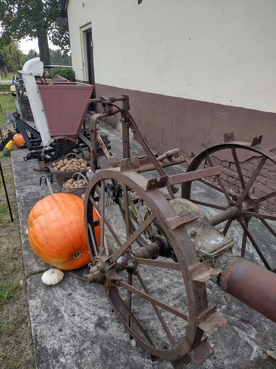 Dzień Ziemniaka w gminie Zelów. Było pyszne jedzenie, atrakcje dla dzieci i wyprzedaż garażowa [FOTO]