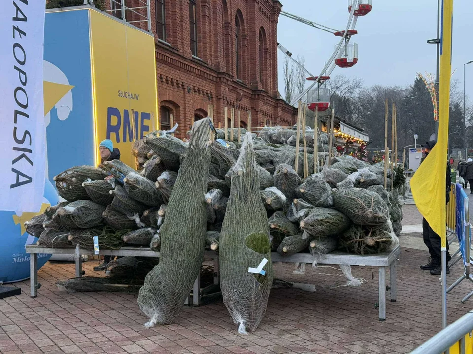 Choinka pod choinkę w Manufakturze