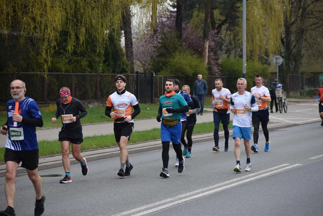 DOZ Maraton ulicami miasta. Zobacz zdjęcia z biegu głównego