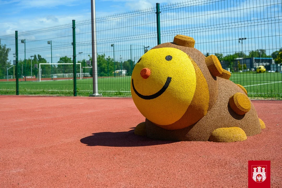 Otwarte Strefy Aktywności w Zgierzu