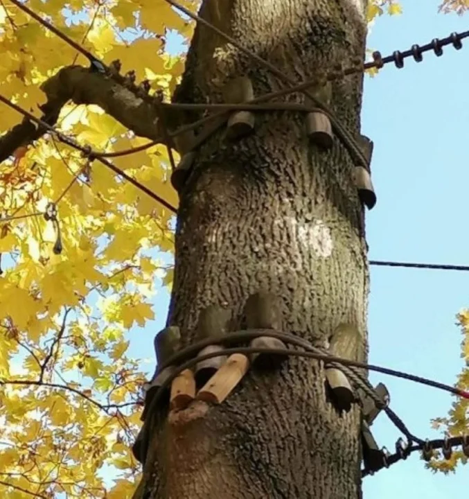 Park linowy wrósł w drzewa na Stawach Jana