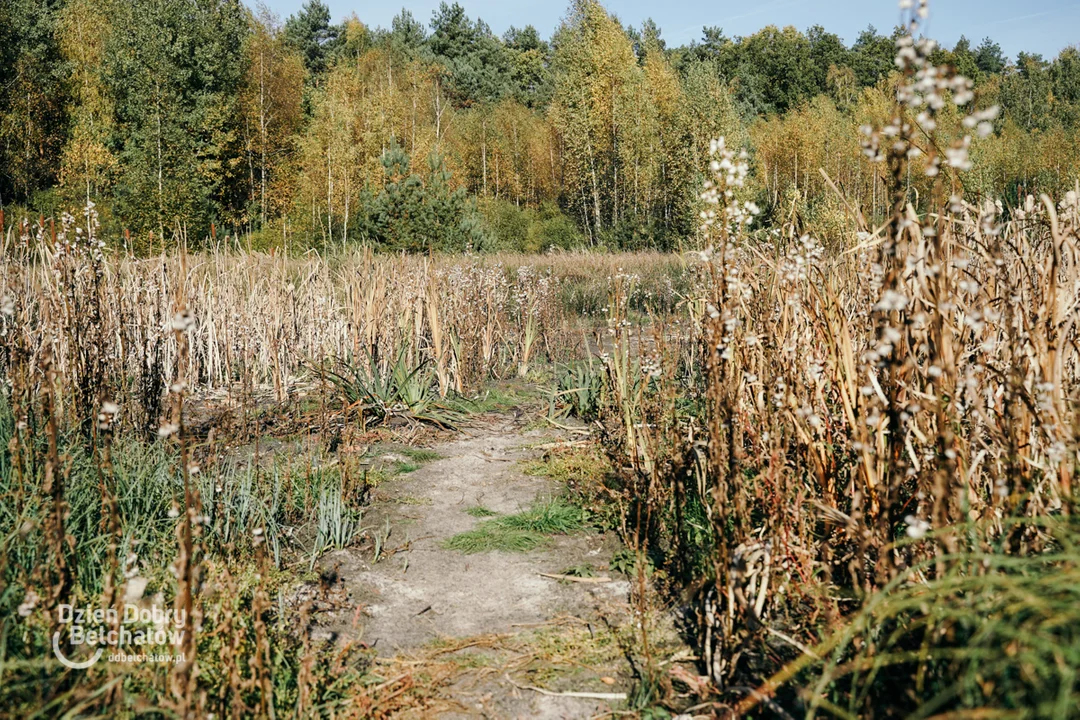 Wysuszony zbiornik koło Bełchatowa