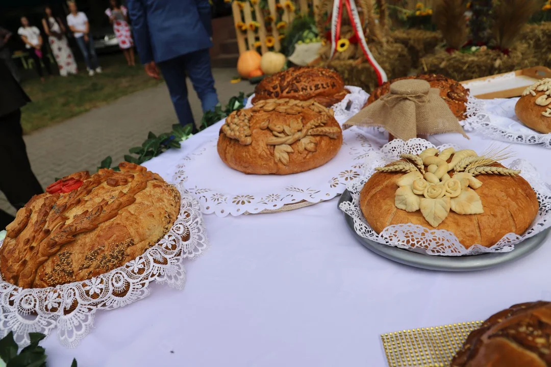 Dożynki powiatowo-gminne w Łaniętach