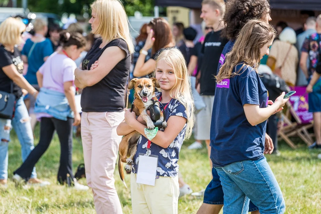 Dzień z psem w Płocku. Był piknik dla miłośników czworonogów [ZDJĘCIA] - Zdjęcie główne