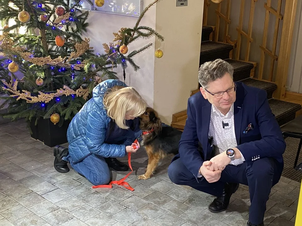Ośmioletnia Kesa zamieszkała w aleksandrowskim urzędzie