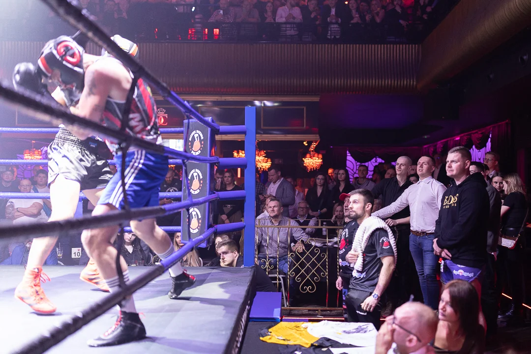 Biznes Boxing Polska - gala w Łodzi