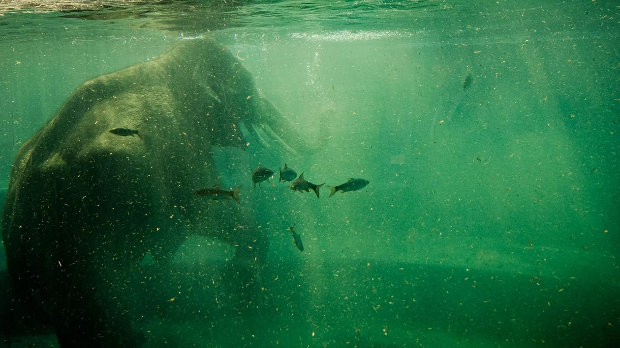 Orientarium ZOO Łódź