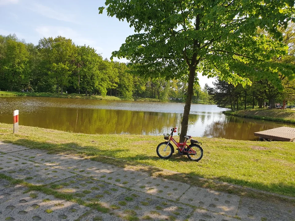 Piknik Strażacki w Dzierżąznej pod Zgierzem. Piękna pogoda i mnóstwo atrakcji, muzyki i dobrego jedzenia [zdjęcia]