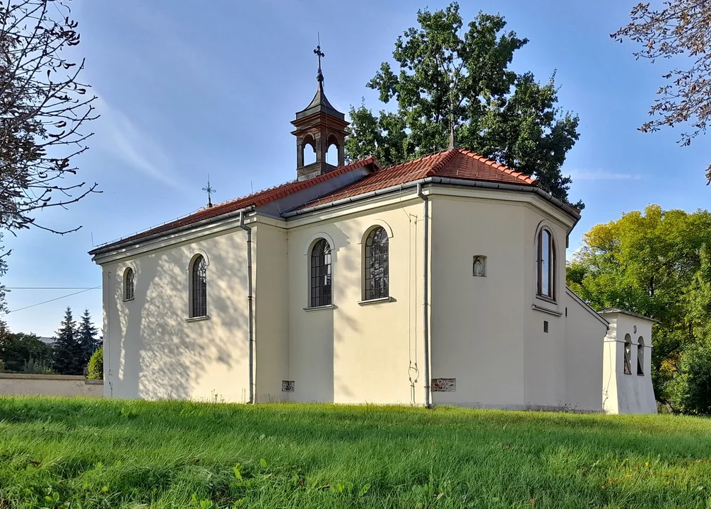 Kościół Nawiedzenia Najświętszej Maryi Panny przy Krakowskim Przedmieściu. Miał powstać na miejscu pogańskiego kultu i świętych dębów [ZDJĘCIA] - Zdjęcie główne