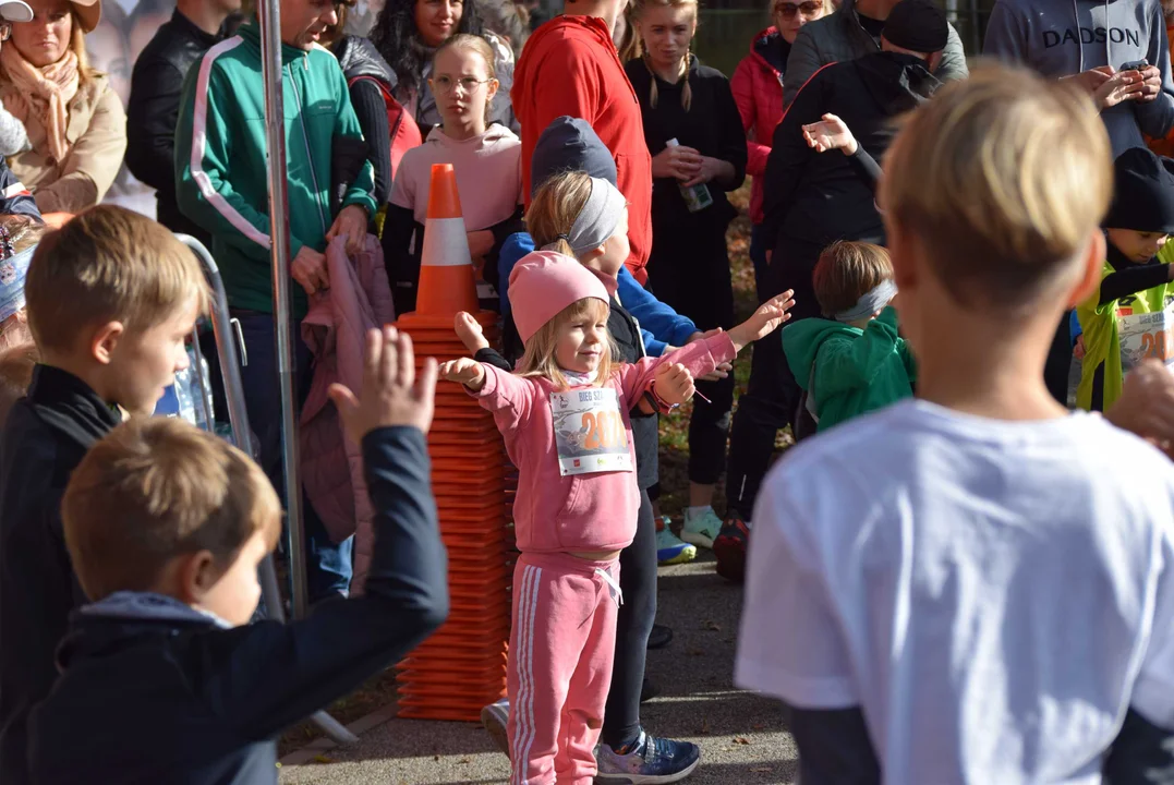 Jesienny Festiwal Szakala