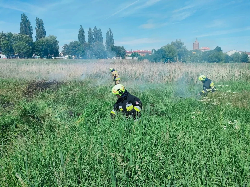 Duże zagrożenie pożarowe w powiecie łęczyckim. Straż apeluje do mieszkańców! - Zdjęcie główne