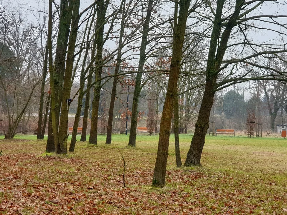 Warsztaty fotograficzne w Dzierżąznej