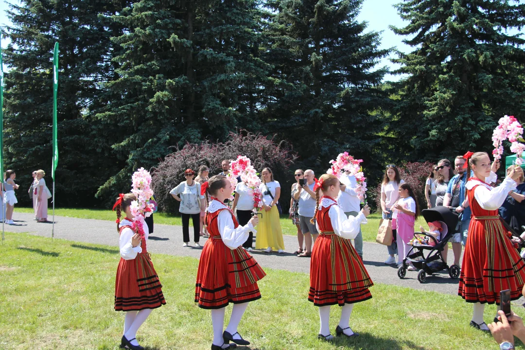 "Majówka w ogrodzie" - Ogród Botaniczny w Łodzi zaprasza na piknik rodzinny