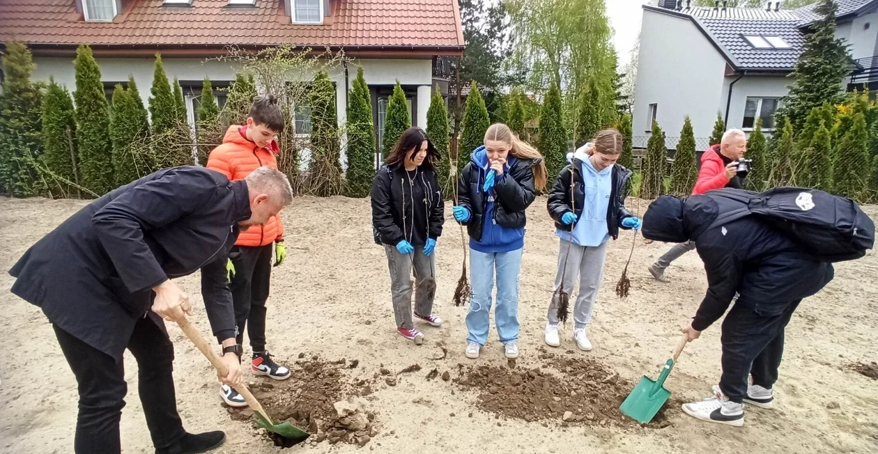 Uczniowie podstawówki pomogli pracownikom miasta zasadzić drzewa [galeria] - Zdjęcie główne