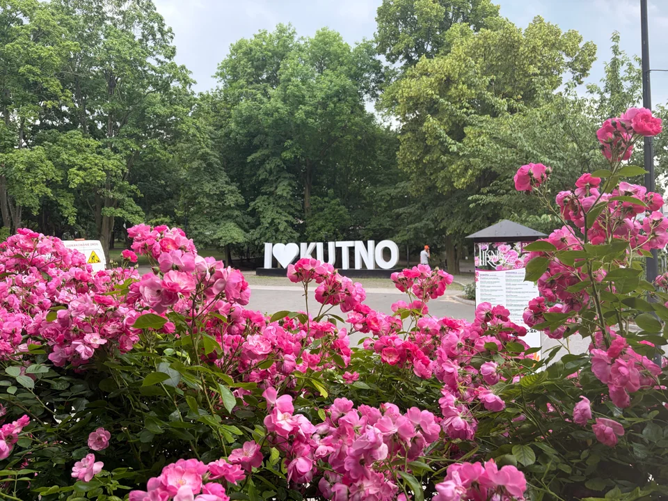 Kwitnące Kutno